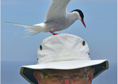 Having a Bad Tern